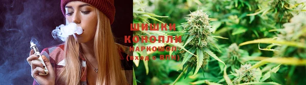 не бодяженный Новозыбков