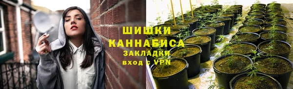 мдпв Нягань