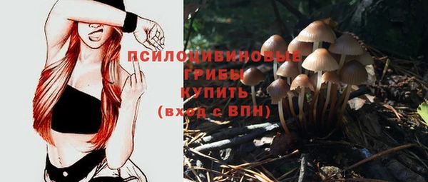 мдпв Нягань