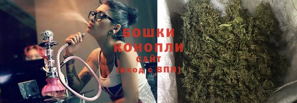 не бодяженный Новозыбков