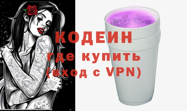 соль ск Новодвинск