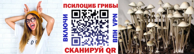 Псилоцибиновые грибы прущие грибы  магазин продажи   Нижний Ломов 